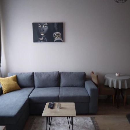 Gray Apartament 2 بريشتاين المظهر الخارجي الصورة