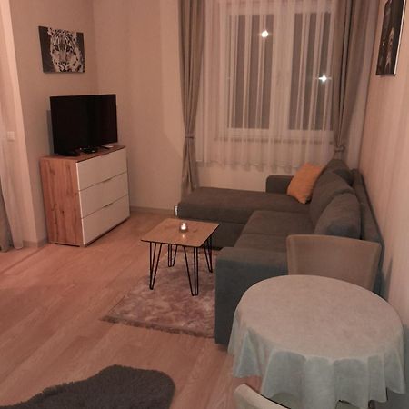 Gray Apartament 2 بريشتاين المظهر الخارجي الصورة