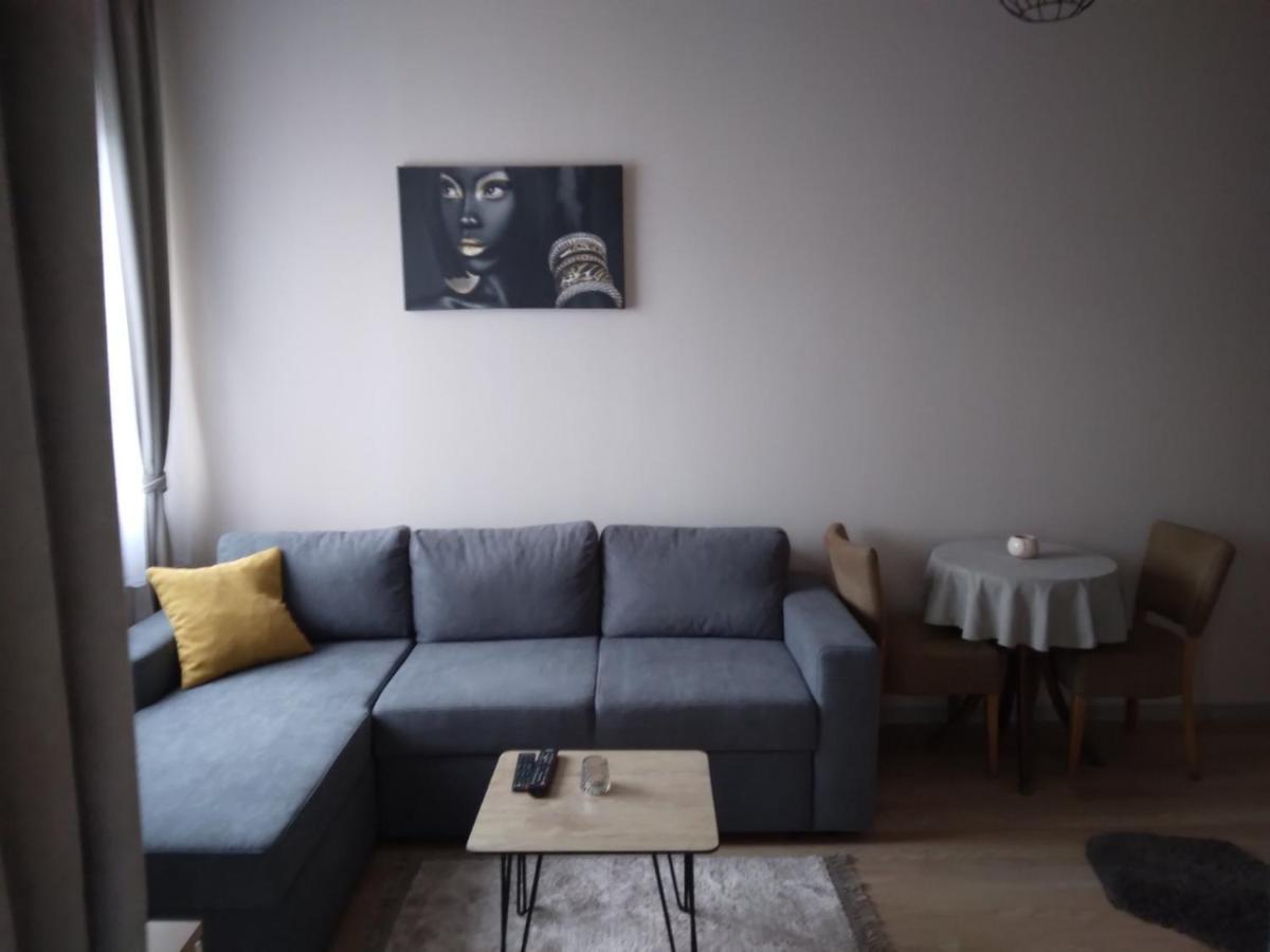 Gray Apartament 2 بريشتاين المظهر الخارجي الصورة